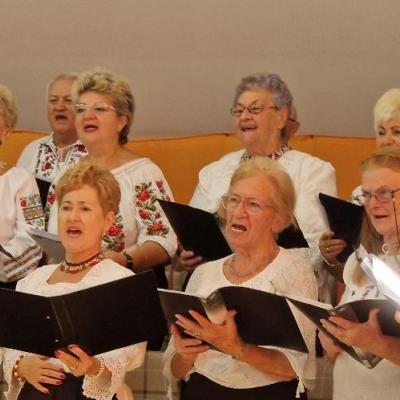 Concert Crizanteme Castane 2024 1