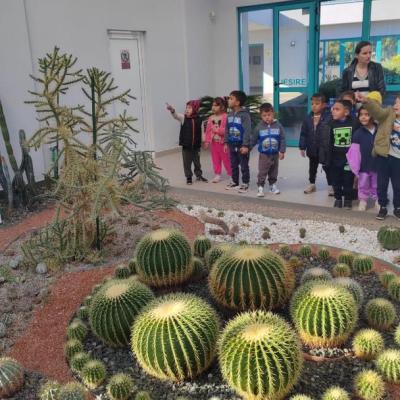 Scoala Altfel 25.10.2024 7