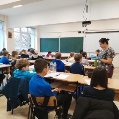 Triaj Epidemiologic 11.2024 5