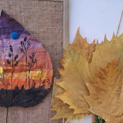 Zile De Toamna 08.11.2024 1