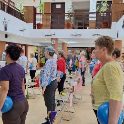 Gimnastica Rivulus 19.11.2024 2