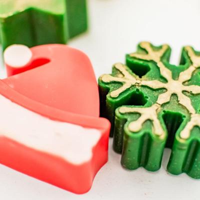 Targ De Craciun Caritabil 2024 40