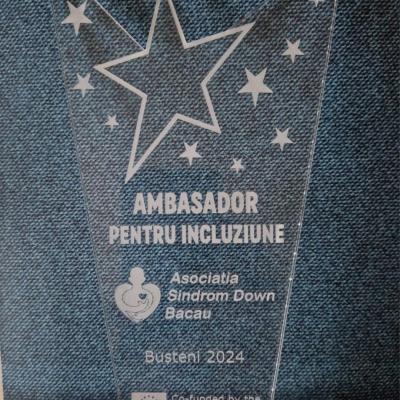 Andrei Cupsa 12.2024 4