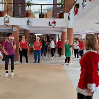 Decoratiuni Secret Santa 15