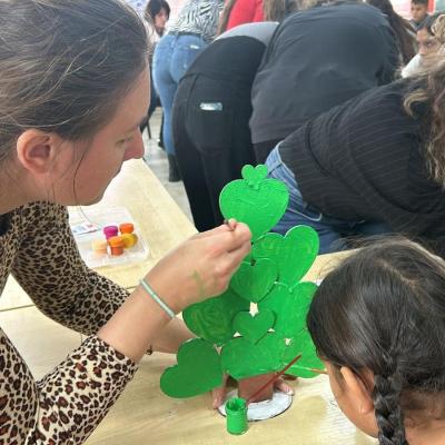 Decoratiuni Craciun Ccm 5