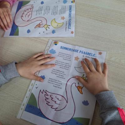 Eminescu 15.01.2025 7