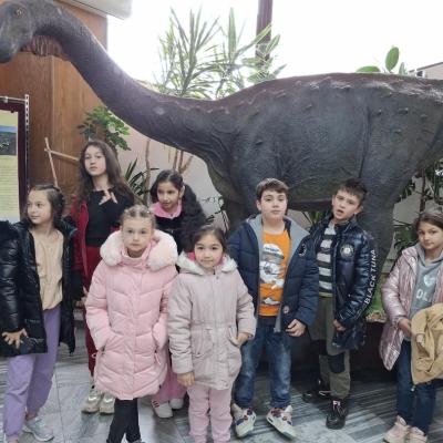 Activitati Vacanta 26.02.2025 12