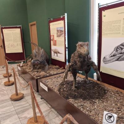 Activitati Vacanta 26.02.2025 2