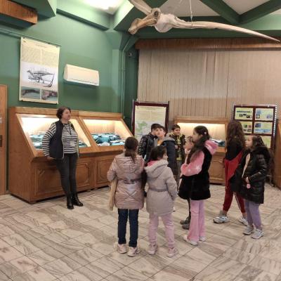 Activitati Vacanta 26.02.2025 3