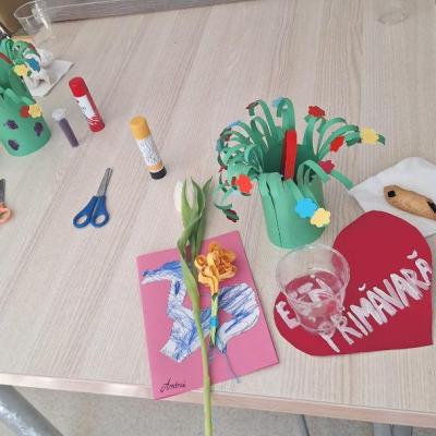 Primavara Rivulus 15