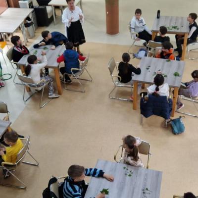 Activitati Pascale Caspev Si Rivulus 2025 21