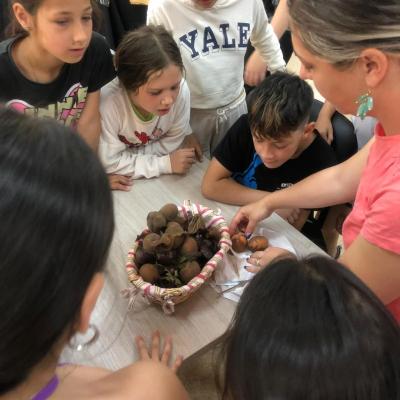 Oua Paste Ccm Si Romanii 2025 6