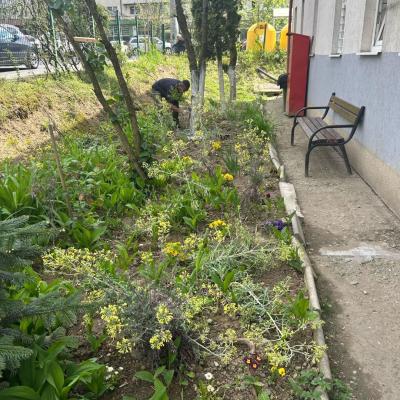 Curatenie De Primavara 24.04.2025 3