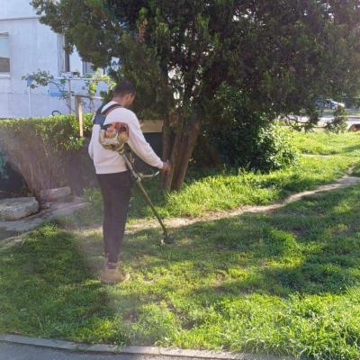 Curatenie De Primavara 24.04.2025 7