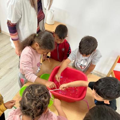 Saptamana Verde 05.2025 13