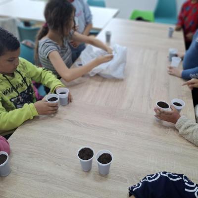 Saptamana Verde 05.2025 1