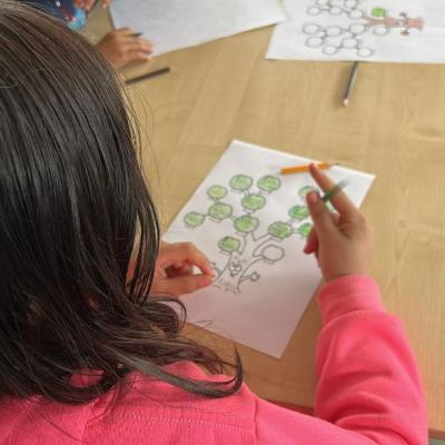 Ccm 19 23.05.2025 11