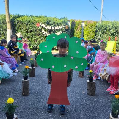 Romanii 26.04.2024 14