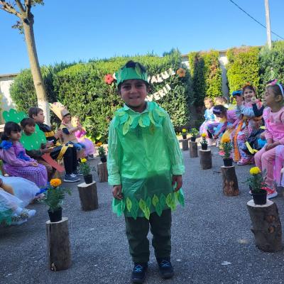 Romanii 26.04.2024 15