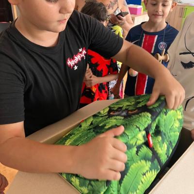 Giozdane Proiecte 11 09.2025