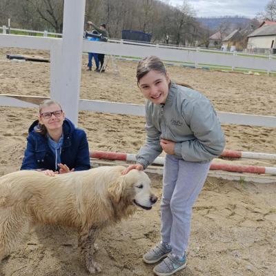 Luchian 29.10.2025 5