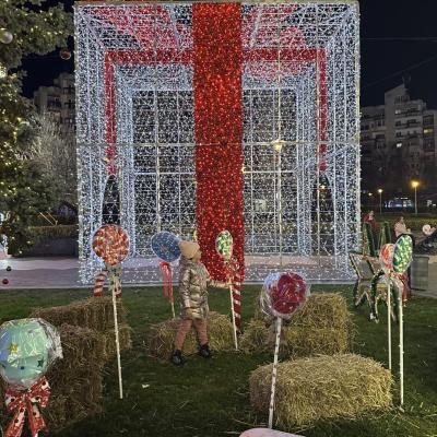 Deschidere Targ Caritabil 32