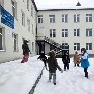 Triaj Si Masuri Protectie Elevi 1413.01.2025