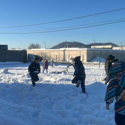 Bulgareala 19.01.2026 4