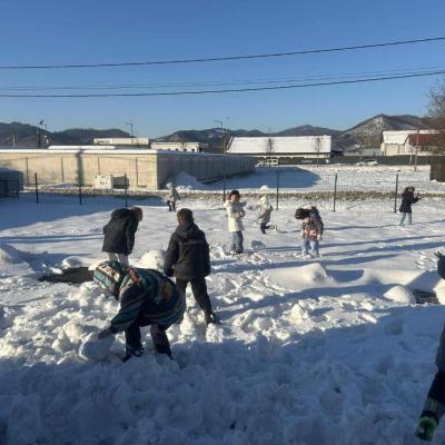 Bulgareala 19.01.2026 5