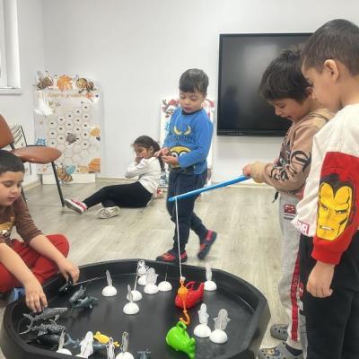 Animale Polare Ccm 05.02.2026 13