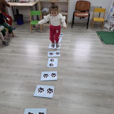 Animale Polare Ccm 05.02.2026 3