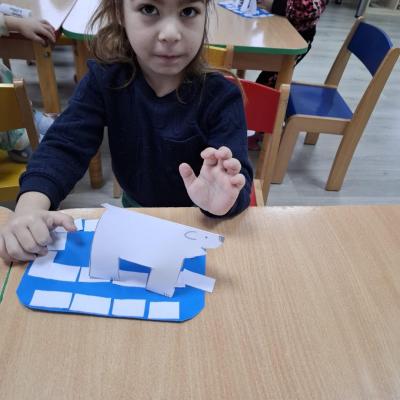 Animale Polare Ccm 05.02.2026 5