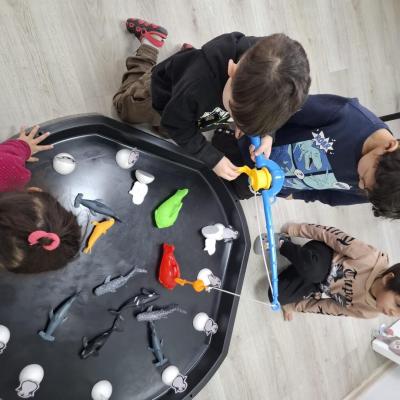 Animale Polare Ccm 05.02.2026 6