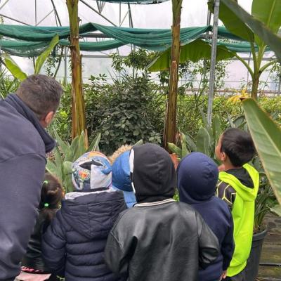 Saptamana Verde 04.2026 1