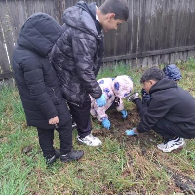 Saptamana Verde 04.2026 6