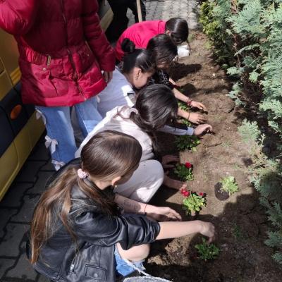 Saptamana Verde 04.2026 8