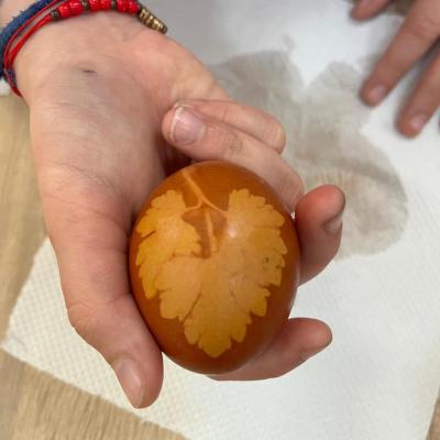 Comunitate Aprilie 2026 6