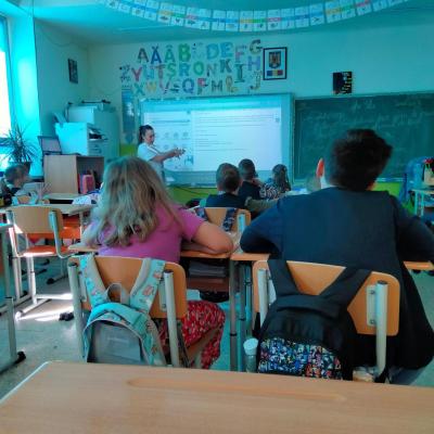 Medicina Scolara 05.05.2026 4