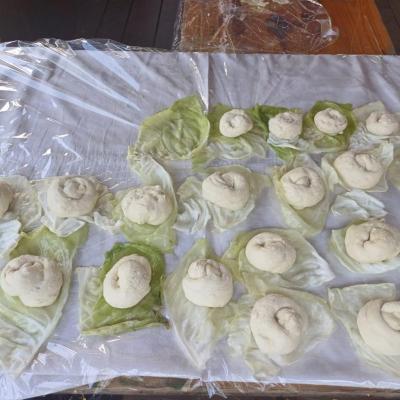 Tabara Vara 1.2024 10