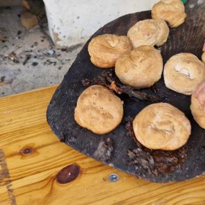 Tabara Vara 1.2024 25