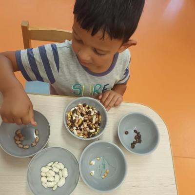 Sotron Robotica 19.07.2024 12