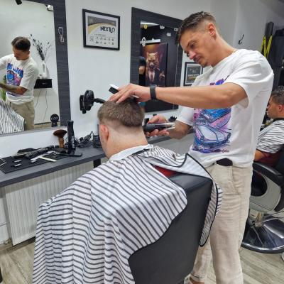 Beneficiari Luchian La Salon 5