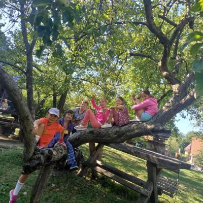 Tabara Vara 3 2024 24