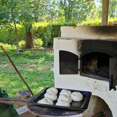 Tabara Vara 3 2024 8