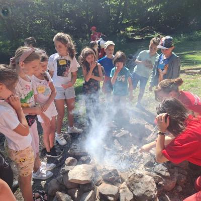 Tabara Vara 3 2024 9