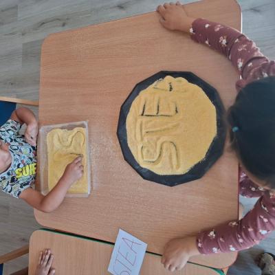 Pregatire Scoala Ccm 08.2024 11