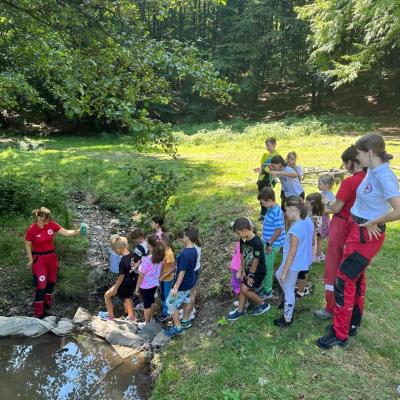 Rivulus Tabara De Vara 3 2024 12