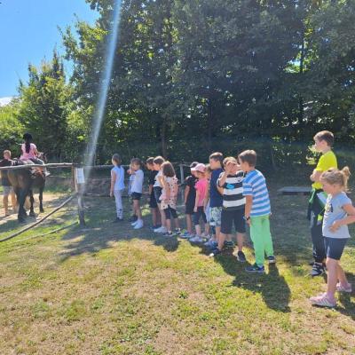 Rivulus Tabara De Vara 3 2024 13