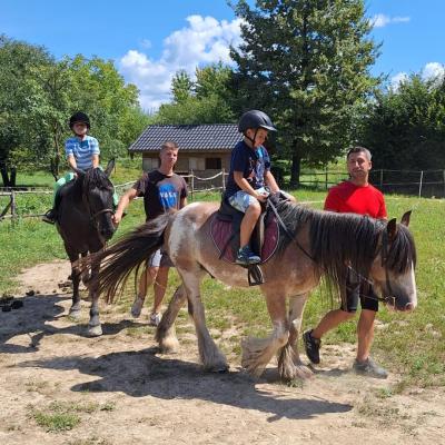 Rivulus Tabara De Vara 3 2024 14