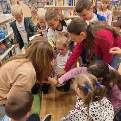 Rivulus Tabara De Vara 3 2024 21